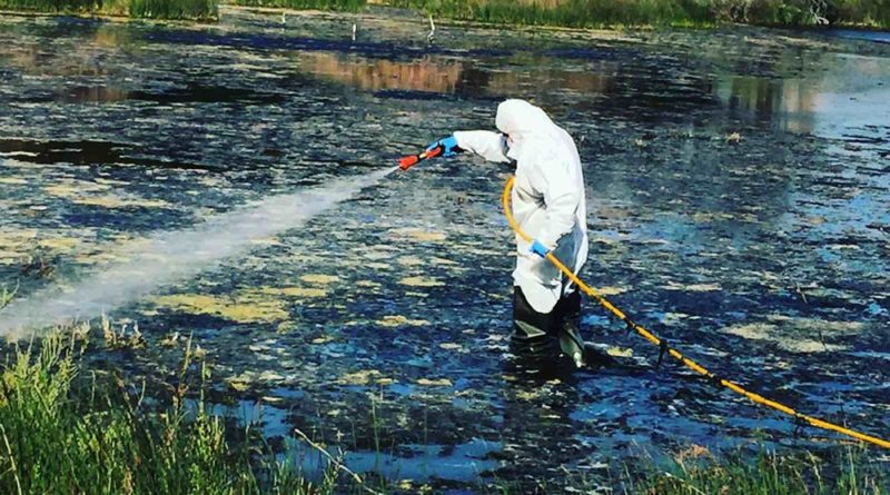 Δήμος Μαραθώνος: Καταπολέμηση κουνουπιών | Πρόγραμμα 2022 | 8η Εφαρμογή από εδάφους￼